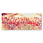 Peaceful Poppy Fields Printed Canvas Floral Wall Art
