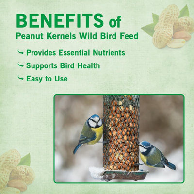 Peanuts for Wild Birds Peanut Kernels Bird Feed 20kg