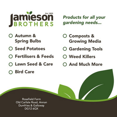 Peat Free All Purpose Compost with added John Innes 60L Professional Blend by Jamieson Brothers - 4