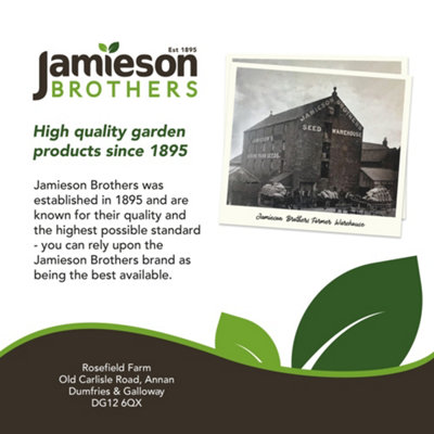 Peat Free All Purpose Compost with added John Innes 60L Professional Blend by Jamieson Brothers - 6