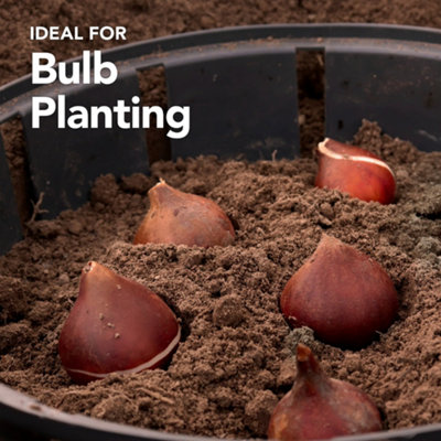 Peat Free Bulb Planting Compost with added John Innes 60L Professional Blend by Jamieson Brothers - 3