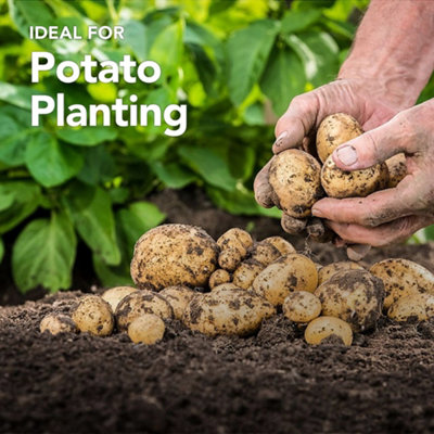 Peat Free Potato Compost with added John Innes 60L Professional Blend by Jamieson Brothers - 4