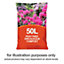 Peat Free Specially Formulated Ericaceous Horticulture Compost - 50L