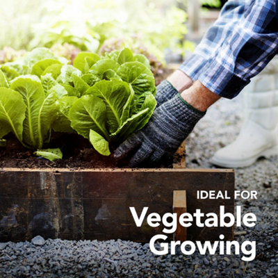 Peat Free Vegetable Compost with added John Innes 60L Professional Blend by Jamieson Brothers - 4