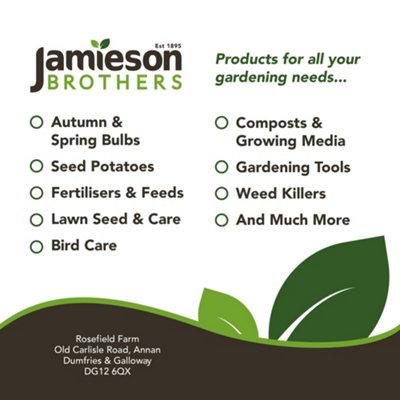Peat Free Vegetable Compost with added John Innes 60L Professional Blend by Jamieson Brothers - 7