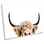 Peeking Highland Cow CANVAS WALL ART Print Picture (H)40cm x (W)61cm