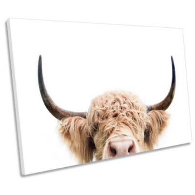 Peeking Highland Cow CANVAS WALL ART Print Picture (H)40cm x (W)61cm