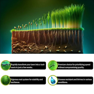 Pegdev - PDL - Fast Growing Grass Seed - Rapidly Transform Your Lawn into a Verdant Oasis (500g)