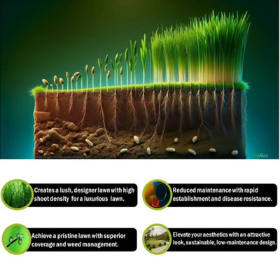 Pegdev - PDL - ProDesigner Luxury Grass Seed, Transform Your Lawn into a Designer Haven of Greenery and Elegance (2.5kg)