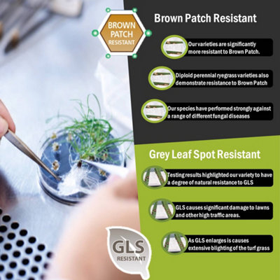 Pegdev - PDL - ProGarden Grass Seed, for Gardens - Resilient, Low Maintenance, High-Density Turf (1kg)