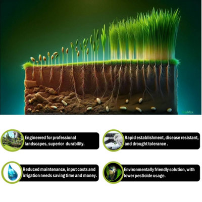 Pegdev - PDL - ProScape Grass Seed, The Ultimate Solution for Professional Landscapes, High Density & Drought Tolerant (10g)