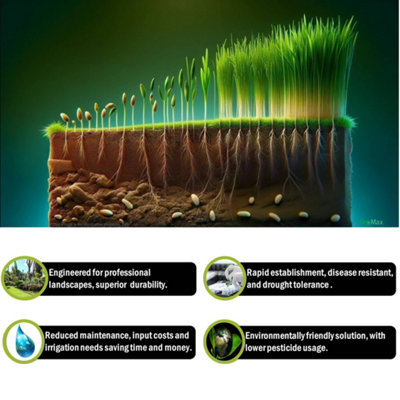 Pegdev - PDL - ProScape Grass Seed, The Ultimate Solution for Professional Landscapes, High Density & Drought Tolerant (50g)