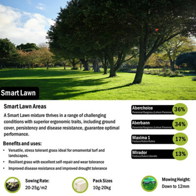 Pegdev - PDL - Smart Lawn Grass Seed: High-Yield, Resilient & Versatile - Ideal for Gardens & Parks (10g)