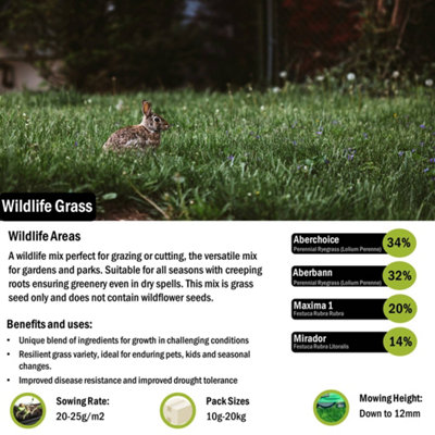 Pegdev - PDL - Wildlife Grass Seed - Versatile, Resilient Blend for Lush Gardens & Parks (10g)