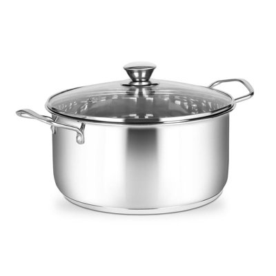 Penguin Home Professional Induction Safe Stainless Steel StockPot with Glass Lid