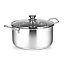 Penguin Home Professional Induction Safe Stainless Steel StockPot with Glass Lid