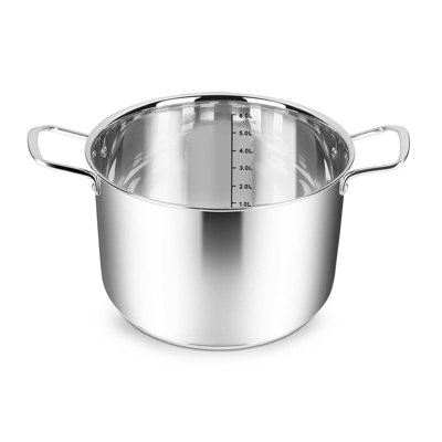 Penguin Home Professional Induction Safe Stainless Steel StockPot with Glass Lid