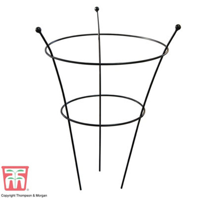 Peony Frame Outdoor Heavy Duty Herbaceous Garden Plant Support Ring for Perennial Flowers Border Cage (1 x Peony Frame)