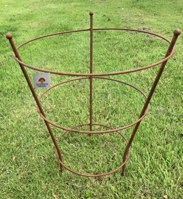 Peony Herbaceous Plant Rust Support Frame Garden Flower Stand Ring Cage (H)51cm (Dia)40cm