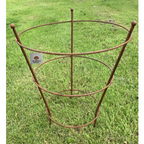 Peony Herbaceous Plant Rust Support Frame Garden Flower Stand Ring Cage (H)51cm (Dia)40cm