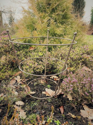 Peony Herbaceous Plant Support Frame Garden Flower Stand Ring Cage (H)51cm (Dia)40cm