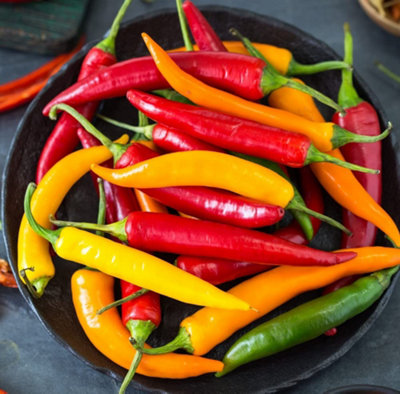 Pepper Chilli Heatwave Improved Mix F1 1 Seed Packet