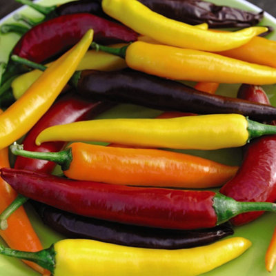 Pepper Chilli Heatwave Improved Mix F1 1 Seed Packet