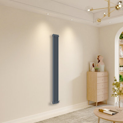 Perfect Sanitary Vertical Radiator 1800x200mm Anthracite Double Cast ...