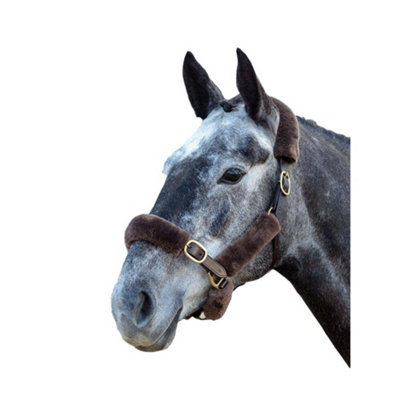 Performance Horses SupaFleece Halter Fleeces (Pack of 6) Brown (One Size) Price Comparisons | Compare The Build