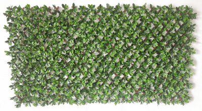 Periwinkle Leaf YOJ779MAL PVC Trellis 100 x 200cm