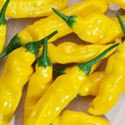 Peruvian Lemon Drop Hot Pepper - Fruity Citrus Chilli Seeds - Thompson ...