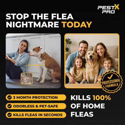 Pest X Pro Flea Control Spray 500ml Home, Carpets & Furniture Treatment ...