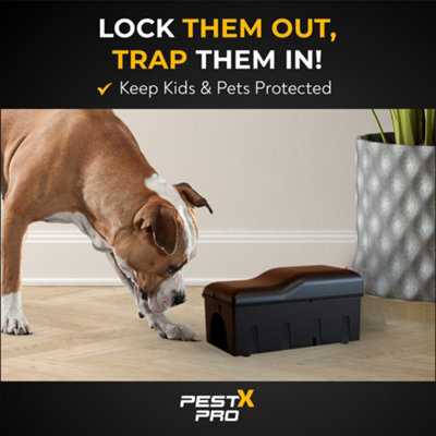 Pest X Pro Rat Control Bundle - Shadow Rat Trap Boxes (2 Pack) & Venom ...