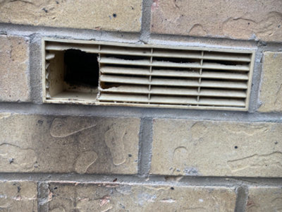 PestBrick-Rodent-Proof Air Brick System-Powered by MouseMesh Patented ...