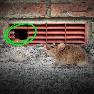 PestBrick-Rodent-Proof Air Brick System-Powered by MouseMesh Patented ...