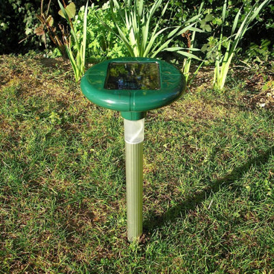 Solar on sale mole repeller