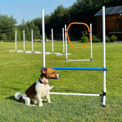 PawHut 3 Piece Dog Agility Training Equipment For Indoor & Outdoor, Dog