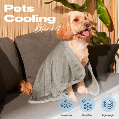 Cooling shop dog blanket