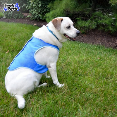 Petface Cooling Summer Dog Coat 60 Cm Blue And White Prestige Cool