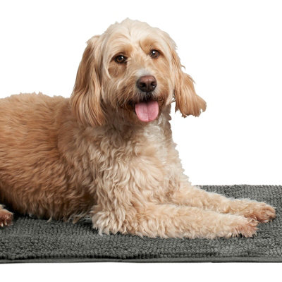 Pet Drying Mat Noodle Microfiber Quick Dry Dog Rug Towel Travel - Charcoal Price Comparisons | Compare The Build