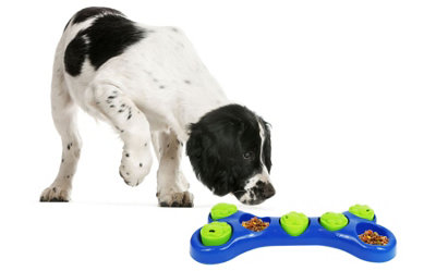 Pet Feeder Bowl Puzzle Treat Slow Feeding Interactive Game Dog Training Rewards Bone Shape