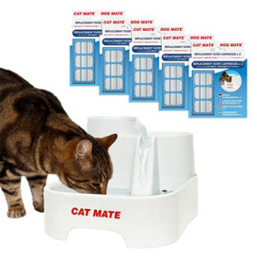 Pet Fountain and 5 Cartridges Kit