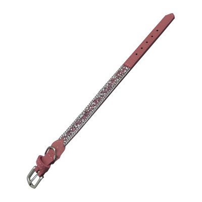 Pet London Dog Collar Pink (S) Quality Product Price Comparisons | Compare The Build