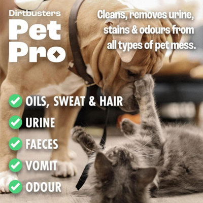 Professional cat urine removal sale