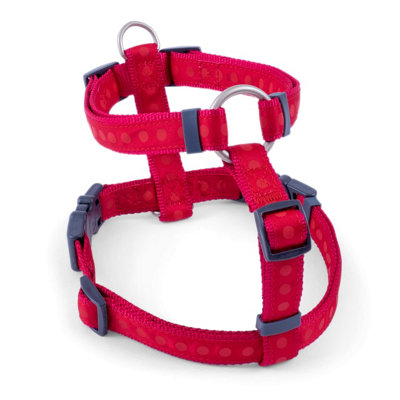 Petface harness best sale