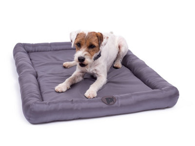 Petface memory foam sales dog bed