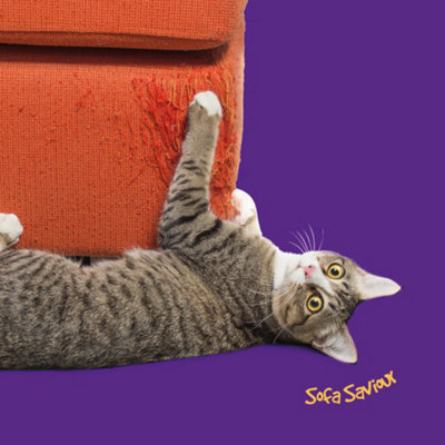 Corner wall scratcher for hot sale cats