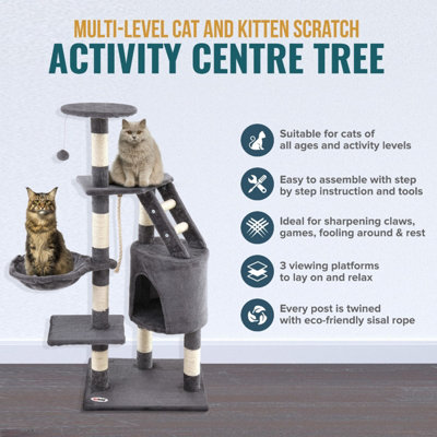 Cat scratching activity centre online