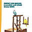 PETLICITY Natural Wooden Bird Playground - Training Playpen, Climbing Ladder, Exercise Playgym for Small Birds & Parrots