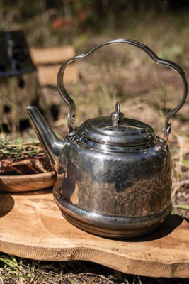 Petromax Camping and Outdoor Cooking Stainless Steel Tea Kettle 0.8L